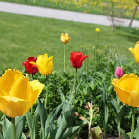 Ferienhaus Niederl Casa de Férias *