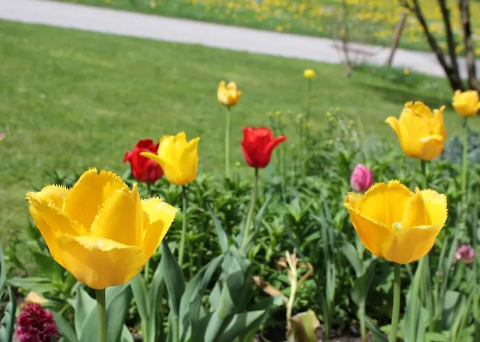 Ferienhaus Niederl Tatil Evi *