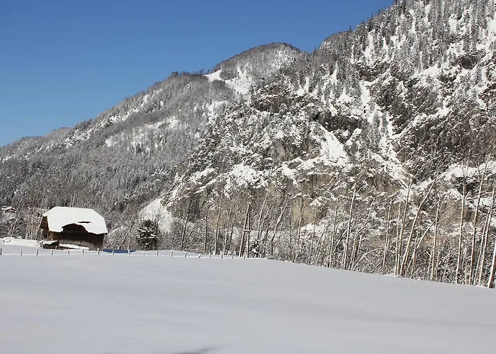 Ferienhaus Niederl * 골링안데살자흐