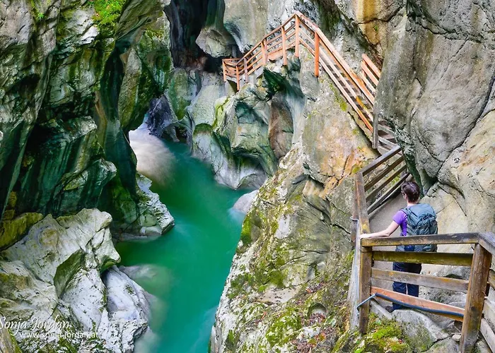 Ferienhaus Niederl *